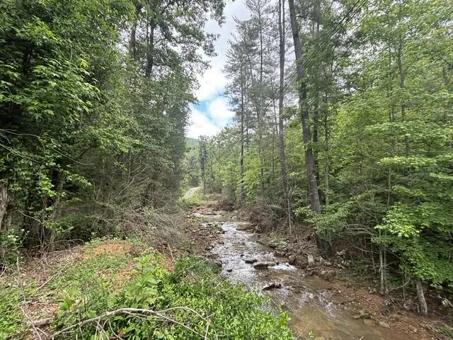 80 Hell Hole Road Pikeville, TN 37367