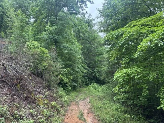 80 Hell Hole Road Pikeville, TN 37367