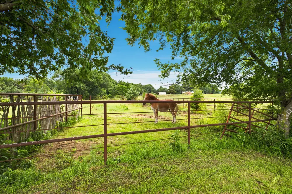 13017 E Fm 273 Telephone, TX 75488