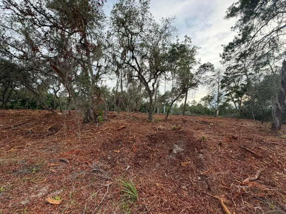 SEQUOIA TRAIL Ocklawaha, FL 32179