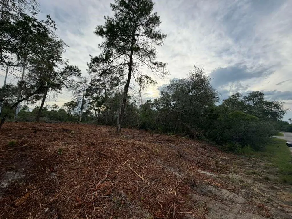 SEQUOIA TRAIL Ocklawaha, FL 32179