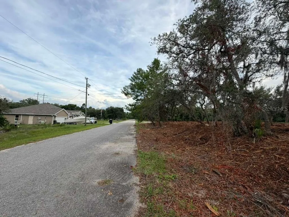 SEQUOIA TRAIL Ocklawaha, FL 32179