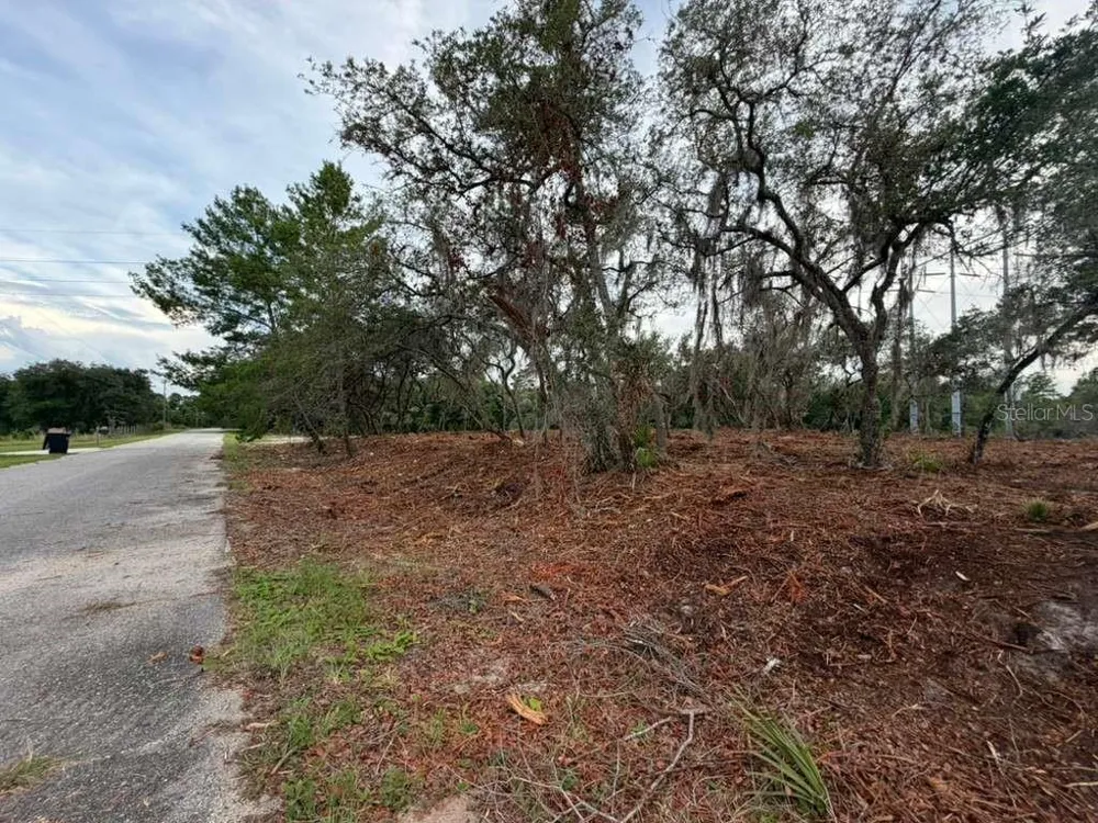 SEQUOIA TRAIL Ocklawaha, FL 32179