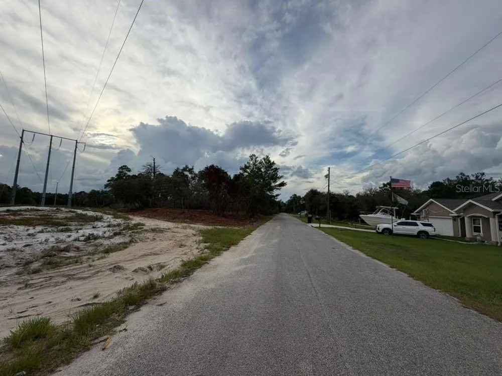 SEQUOIA TRAIL Ocklawaha, FL 32179