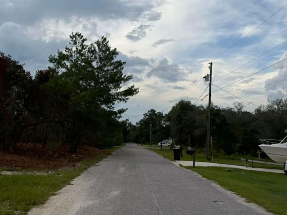 SEQUOIA TRAIL Ocklawaha, FL 32179