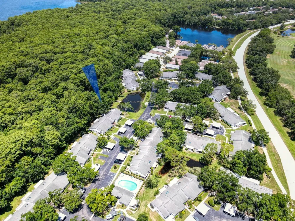 3454 KILLDEER PLACE Palm Harbor, FL 34685