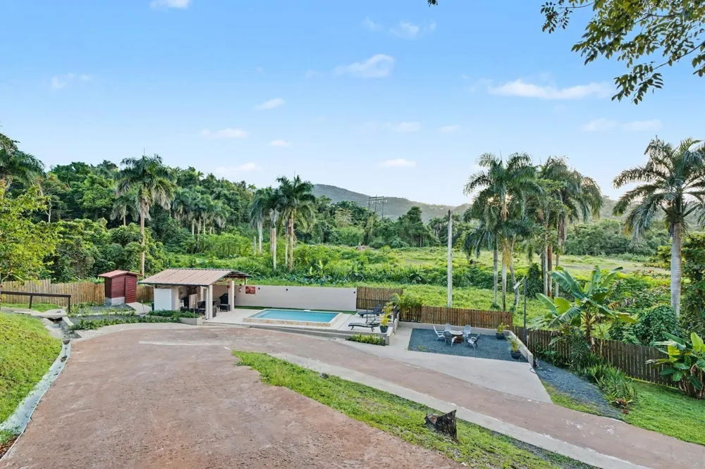 Cofresi MAMEYES #57 Luquillo, PR 00773