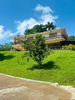 Cofresi MAMEYES #57 Luquillo, PR 00773