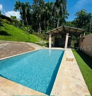 Cofresi MAMEYES #57 Luquillo, PR 00773
