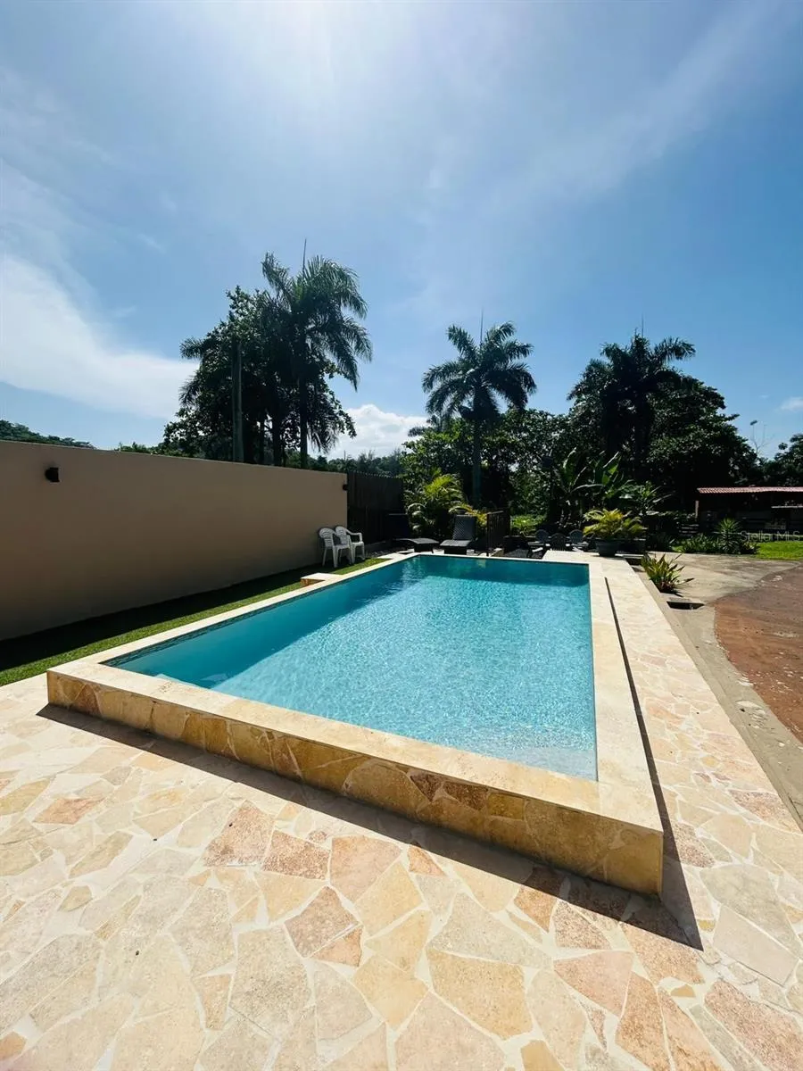 Cofresi MAMEYES #57 Luquillo, PR 00773