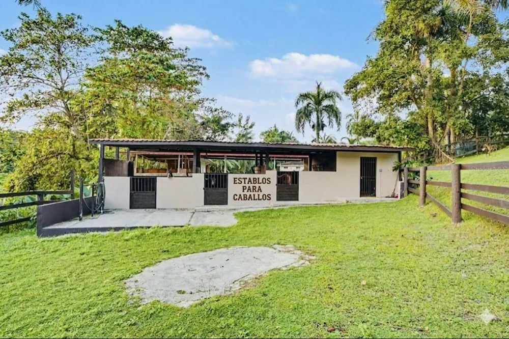 Cofresi MAMEYES #57 Luquillo, PR 00773