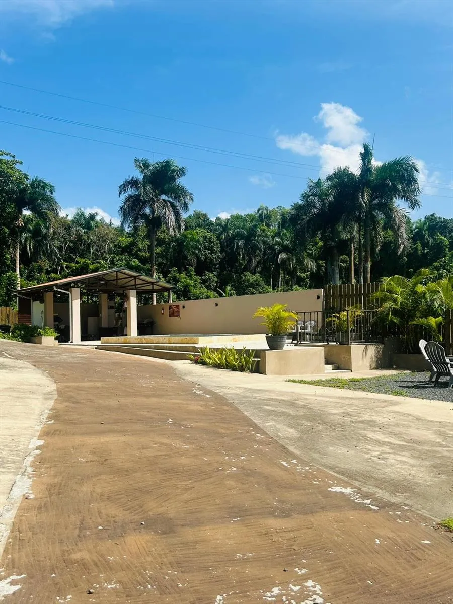 Cofresi MAMEYES #57 Luquillo, PR 00773