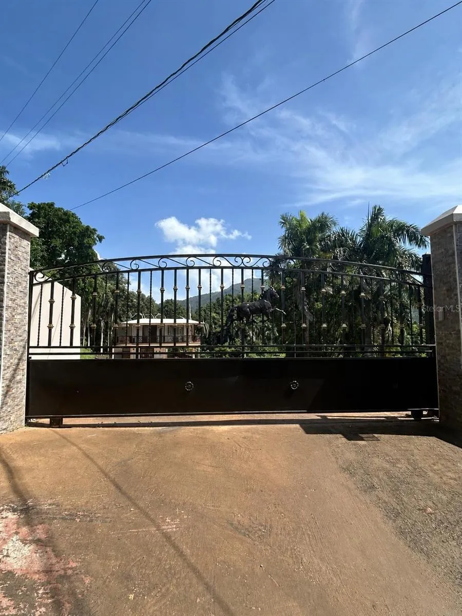 Cofresi MAMEYES #57 Luquillo, PR 00773