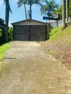 Cofresi MAMEYES #57 Luquillo, PR 00773