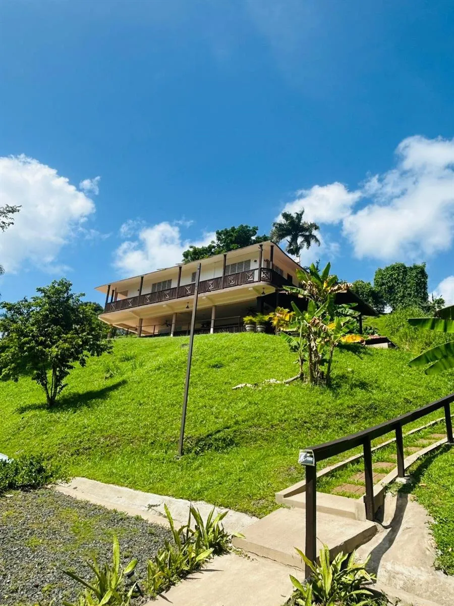 Cofresi MAMEYES #57 Luquillo, PR 00773