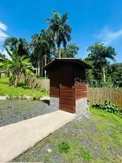 Cofresi MAMEYES #57 Luquillo, PR 00773