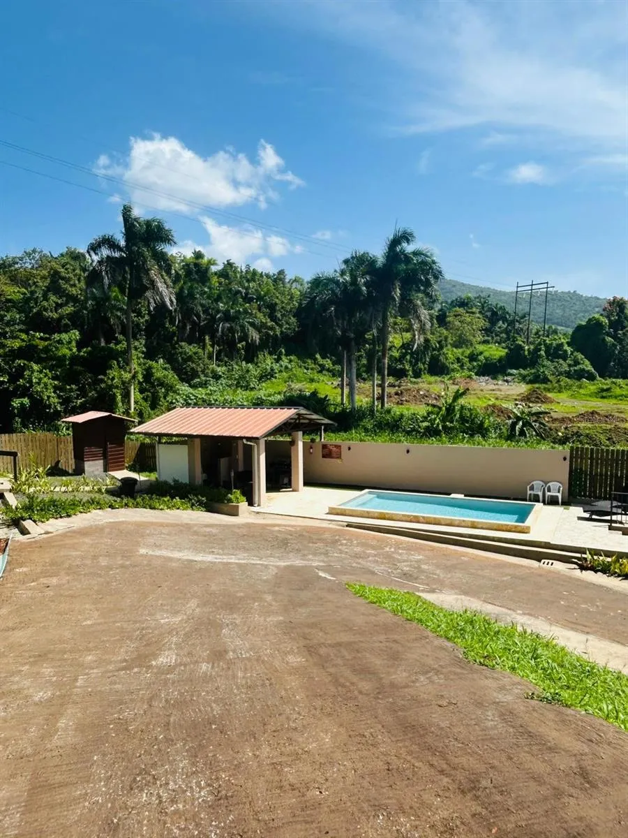 Cofresi MAMEYES #57 Luquillo, PR 00773