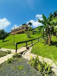 Cofresi MAMEYES #57 Luquillo, PR 00773