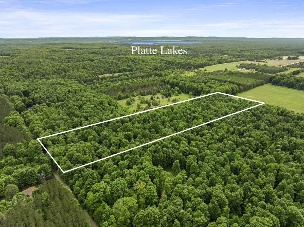 7532 Way Road Platte Township, MI 49640