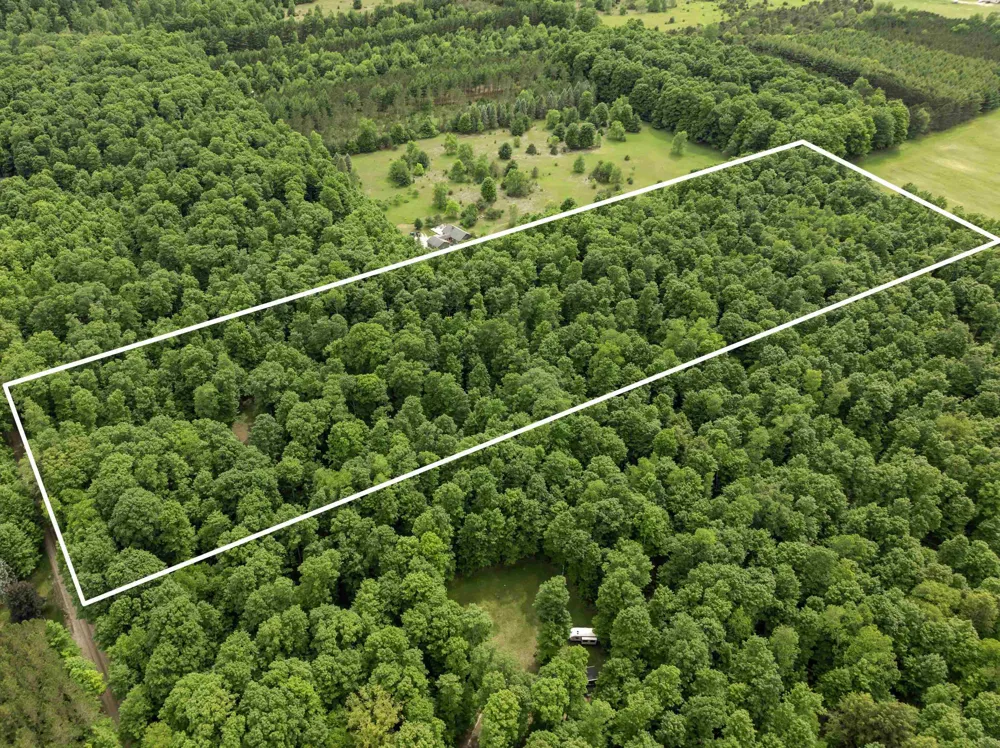 7532 Way Road Platte Township, MI 49640