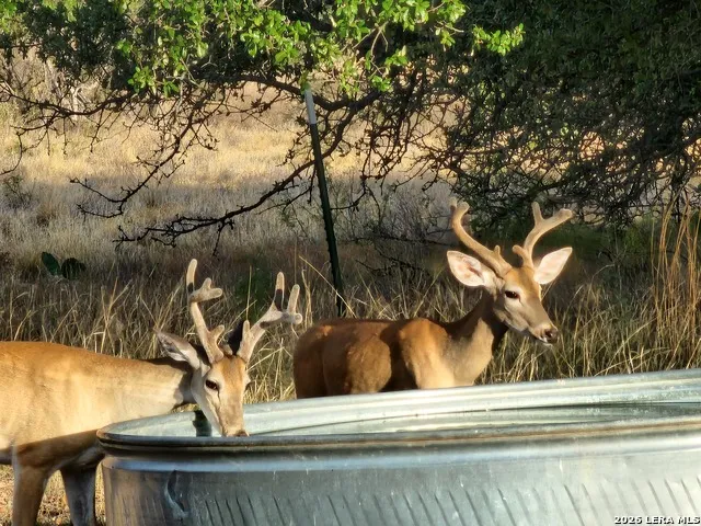 1972 CLOVER LN Menard, TX 76859
