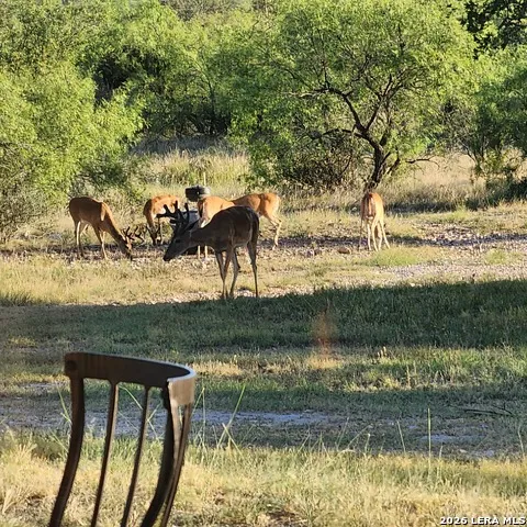 1972 CLOVER LN Menard, TX 76859