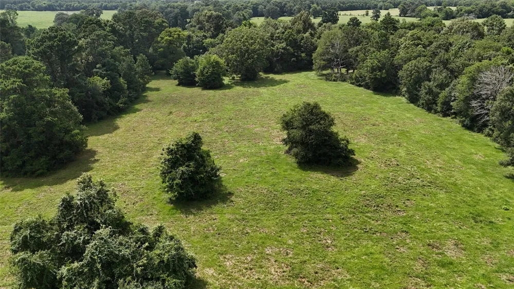 Jones Rd Road New Waverly, TX 77358