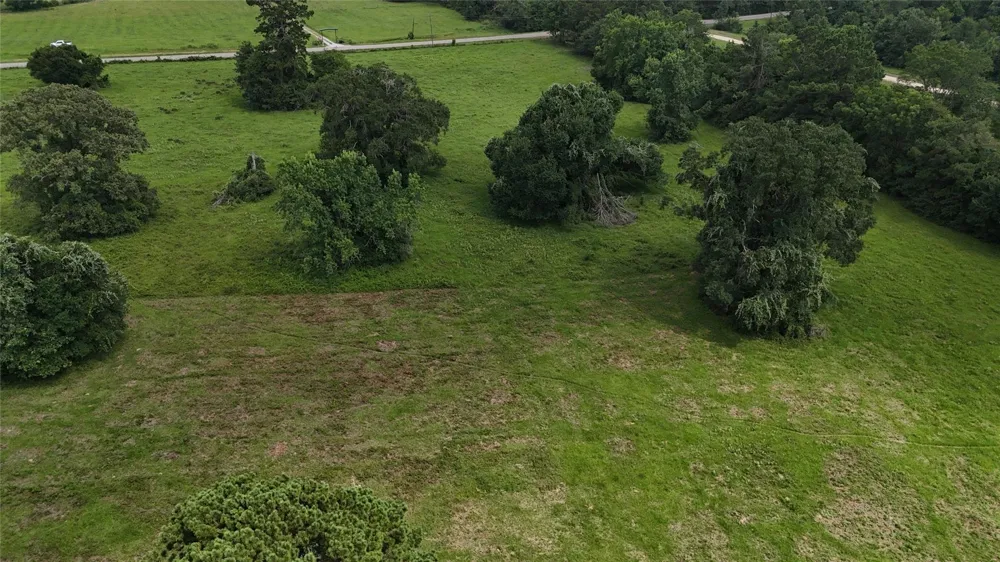 Jones Rd Road New Waverly, TX 77358