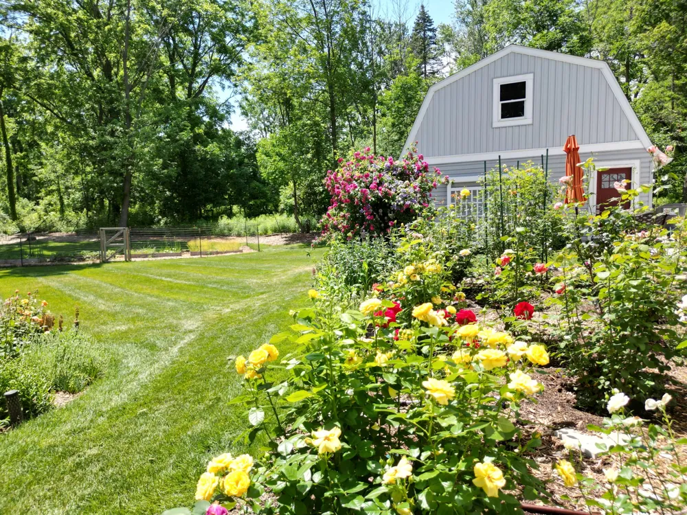 3450 Michigan Street NE Grand Rapids Charter Township, MI 49525