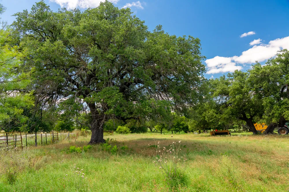 8044 580 E Kempner, TX 76539