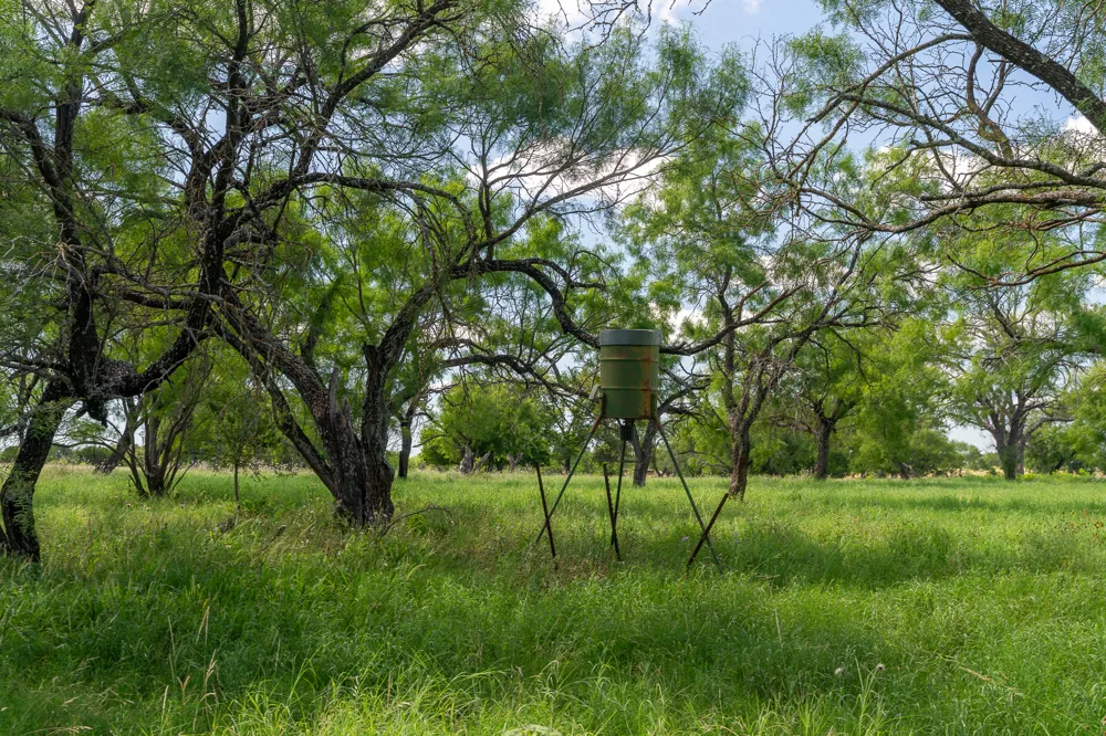 8044 580 E Kempner, TX 76539
