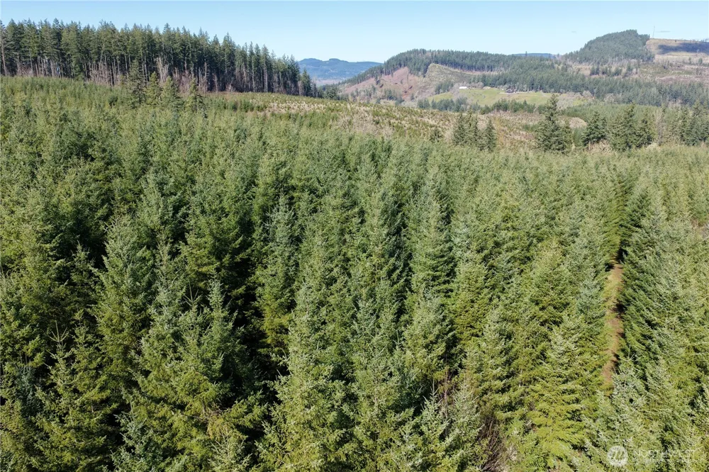 0 SE Tokul Road Fall City, WA 98024