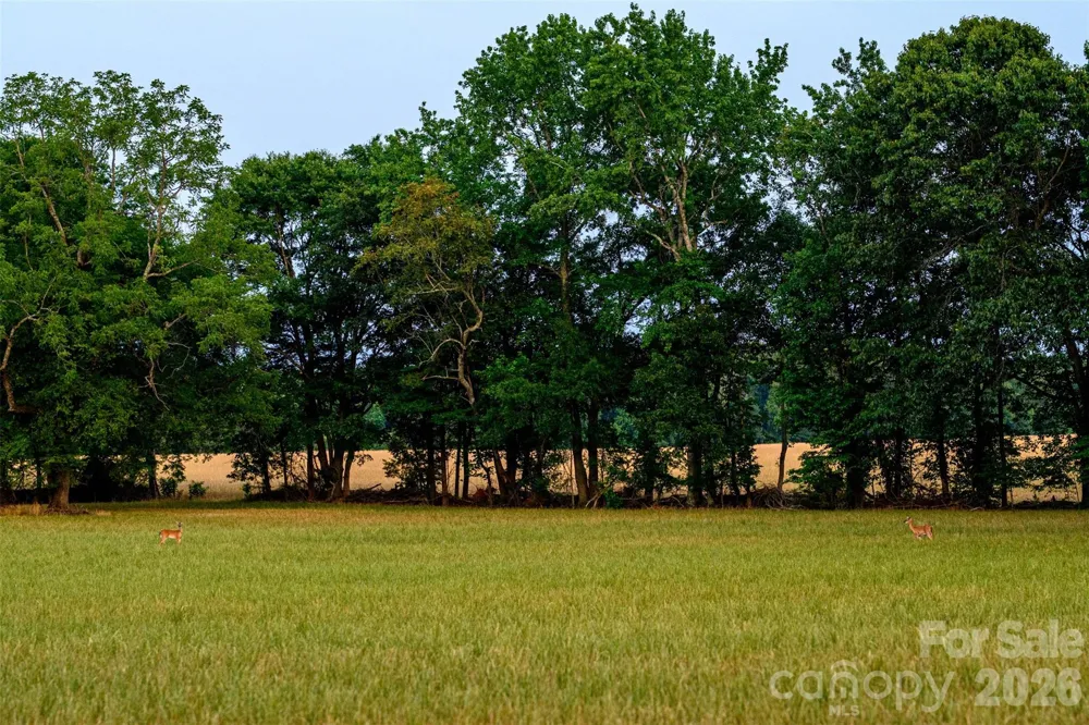6917 Walnut Grove Church Road Hurdle Mills, NC 27541