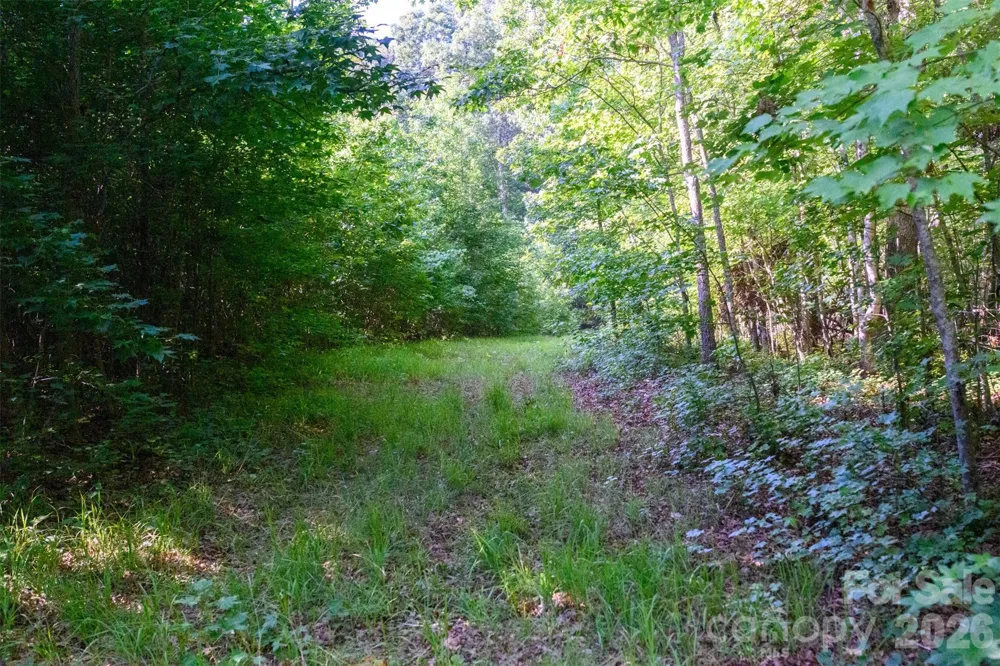 6917 Walnut Grove Church Road Hurdle Mills, NC 27541
