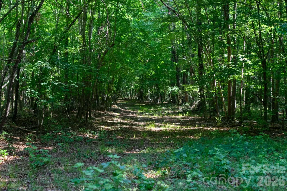 6917 Walnut Grove Church Road Hurdle Mills, NC 27541