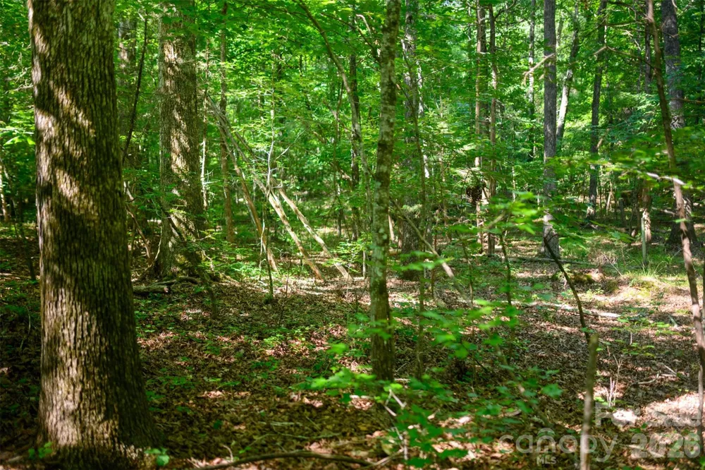 6917 Walnut Grove Church Road Hurdle Mills, NC 27541