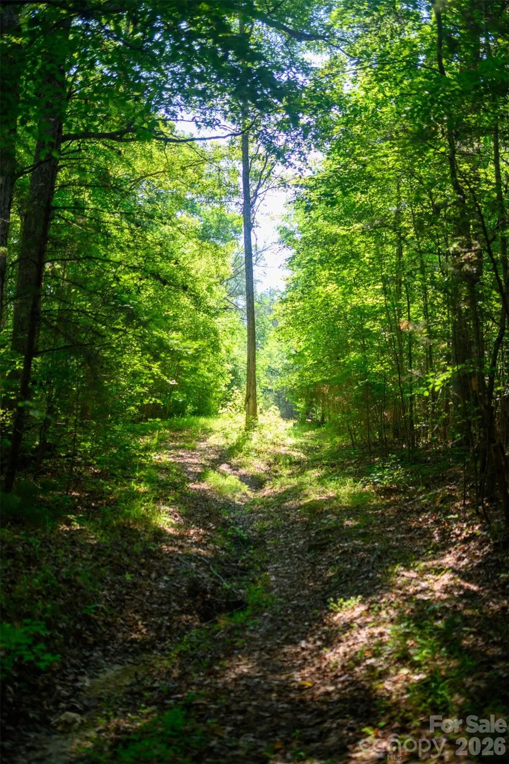 6917 Walnut Grove Church Road Hurdle Mills, NC 27541