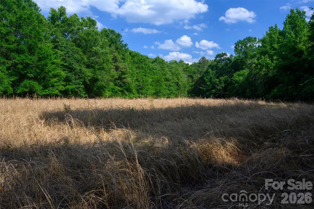 6917 Walnut Grove Church Road Hurdle Mills, NC 27541