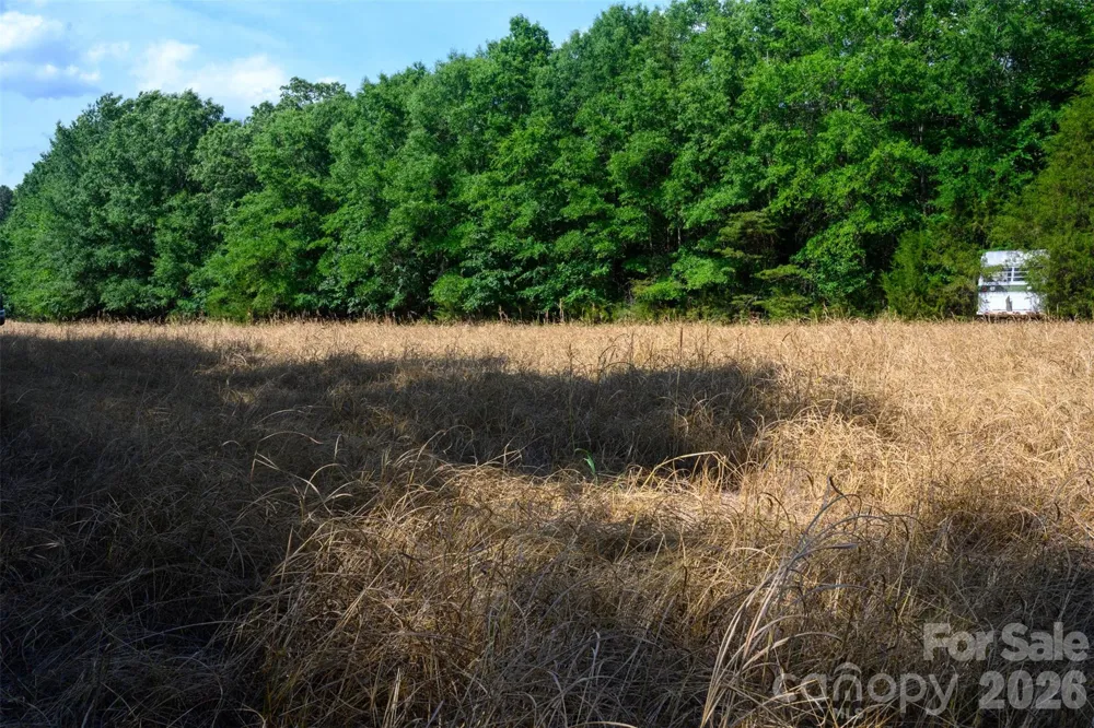 6917 Walnut Grove Church Road Hurdle Mills, NC 27541