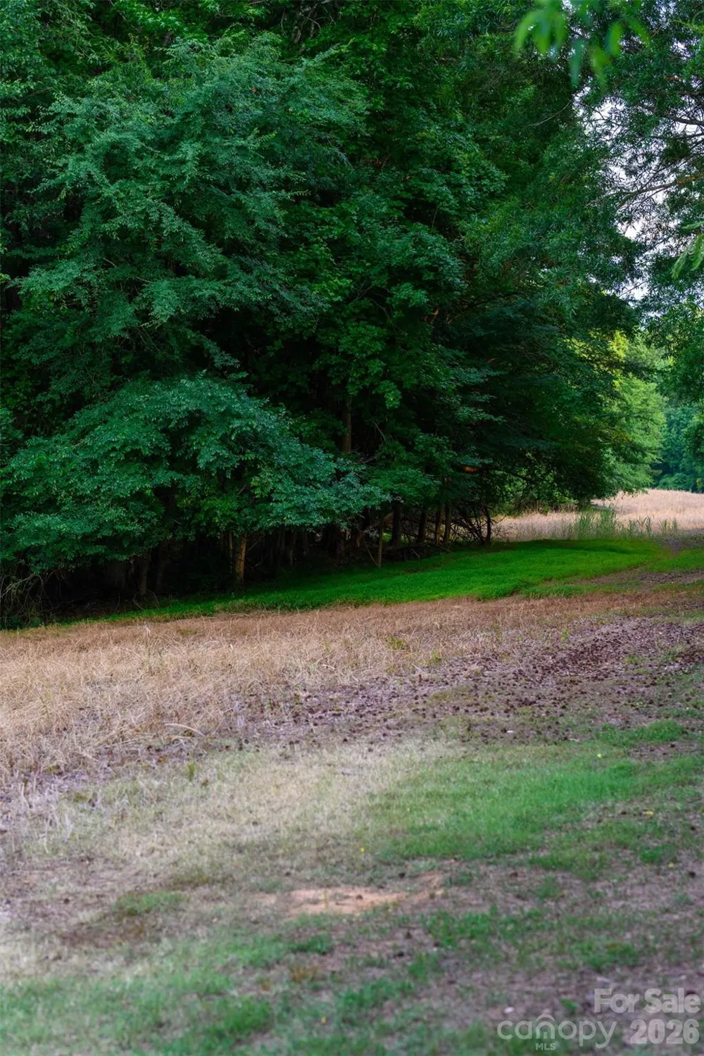 6917 Walnut Grove Church Road Hurdle Mills, NC 27541