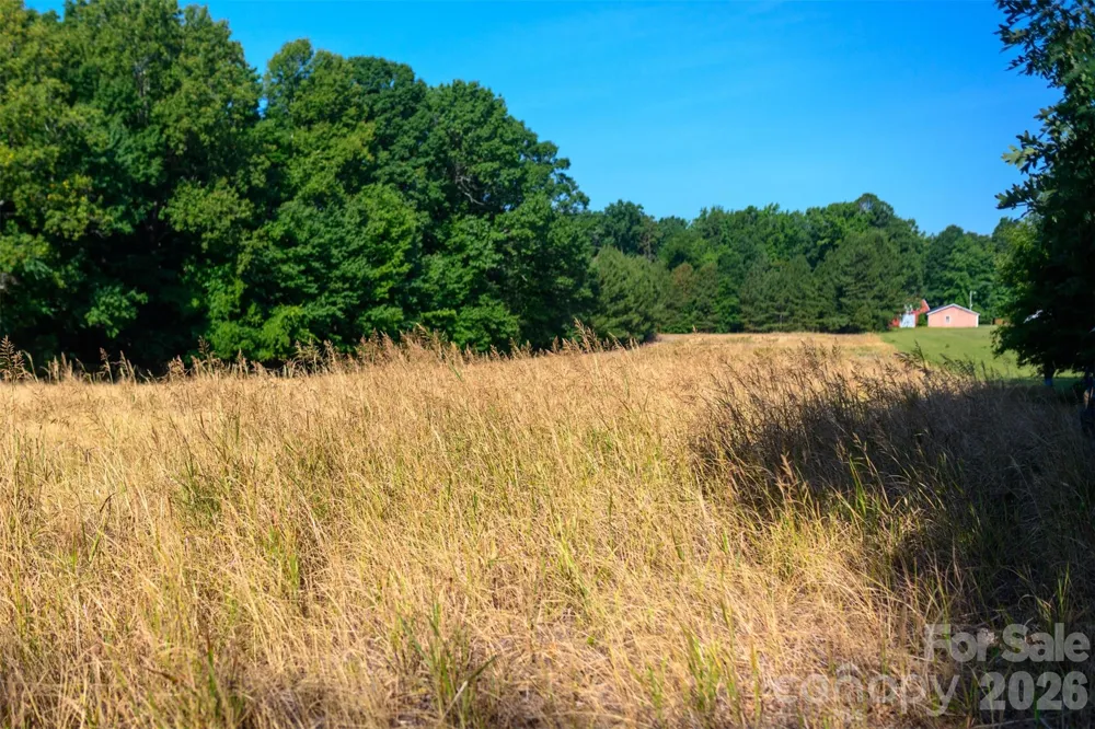 6917 Walnut Grove Church Road Hurdle Mills, NC 27541