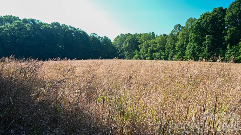 6917 Walnut Grove Church Road Hurdle Mills, NC 27541