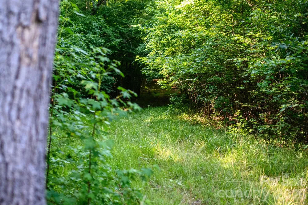 6917 Walnut Grove Church Road Hurdle Mills, NC 27541