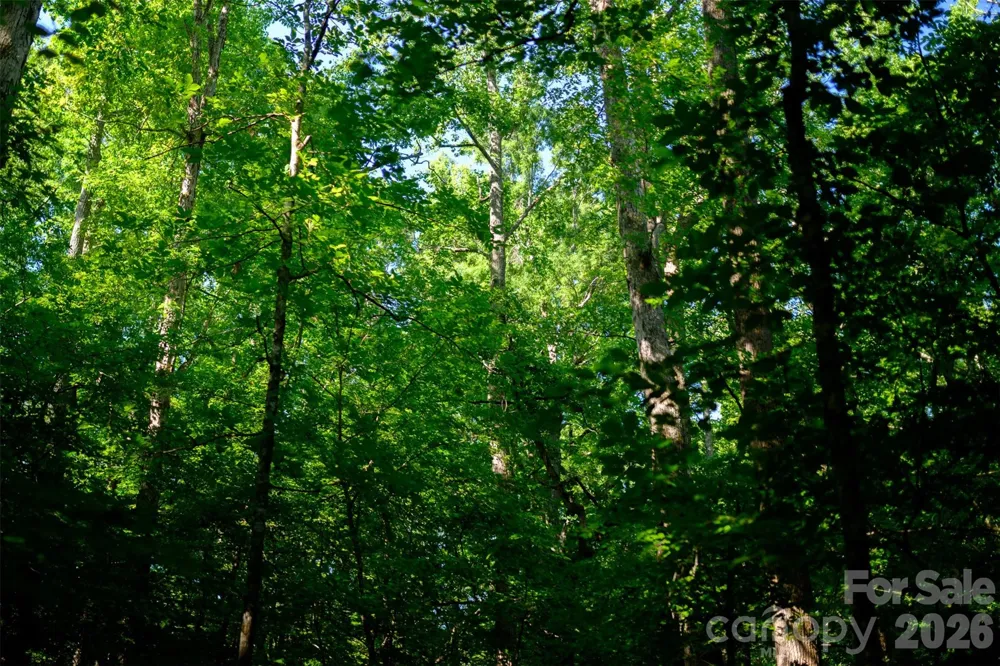 6917 Walnut Grove Church Road Hurdle Mills, NC 27541