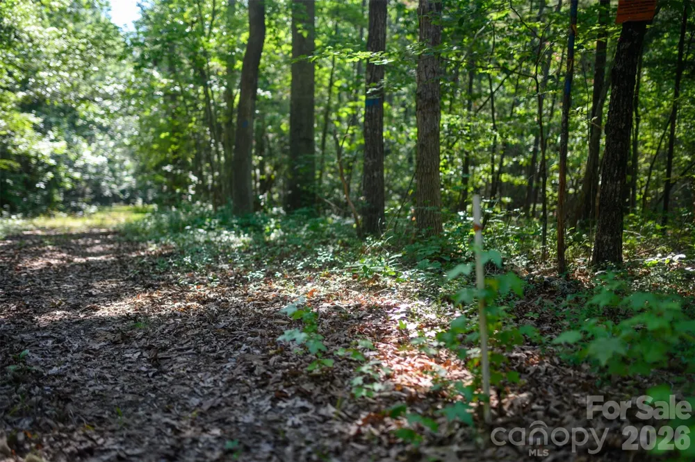 6917 Walnut Grove Church Road Hurdle Mills, NC 27541