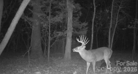 6917 Walnut Grove Church Road Hurdle Mills, NC 27541