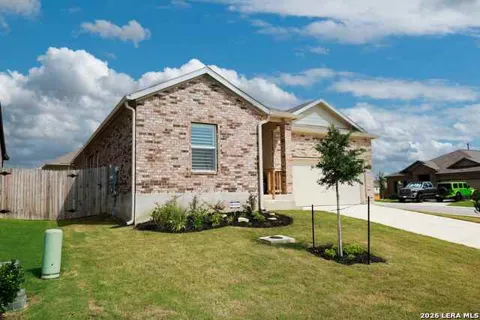 5904 American Elm