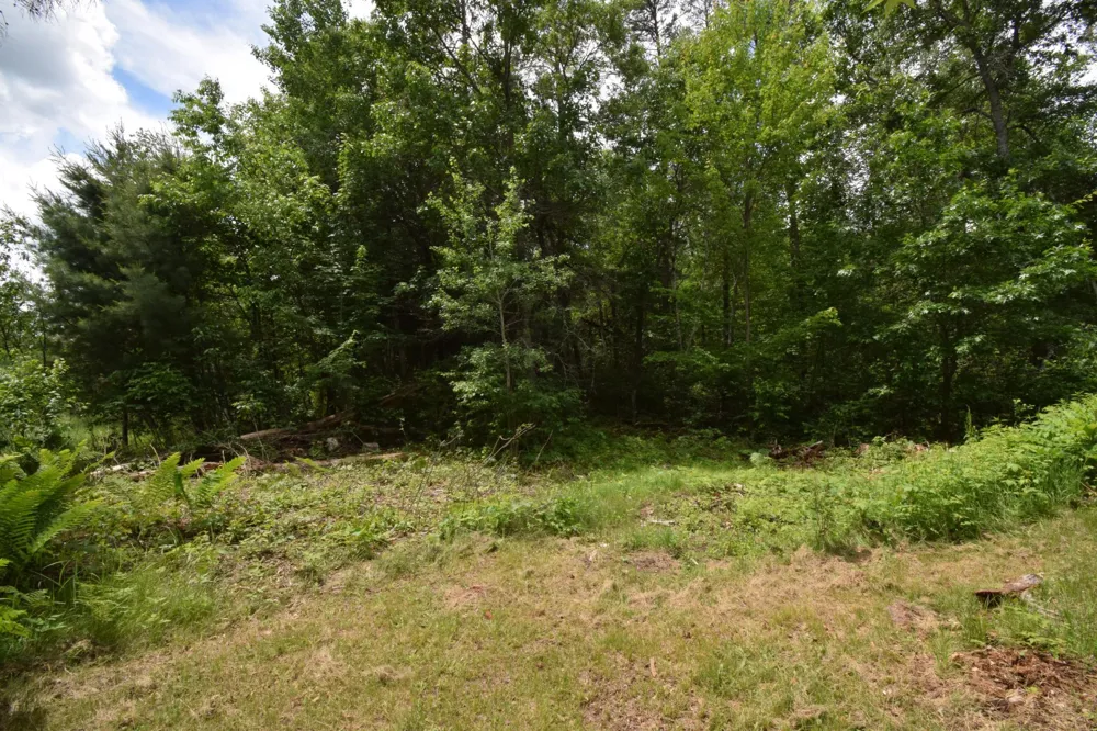 4411 Lunsman Drive Danbury, WI 54830