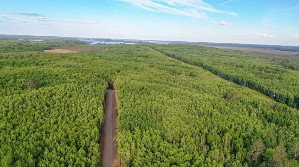 TBD Parcel X Frazer Bay Road Cook, MN 55723