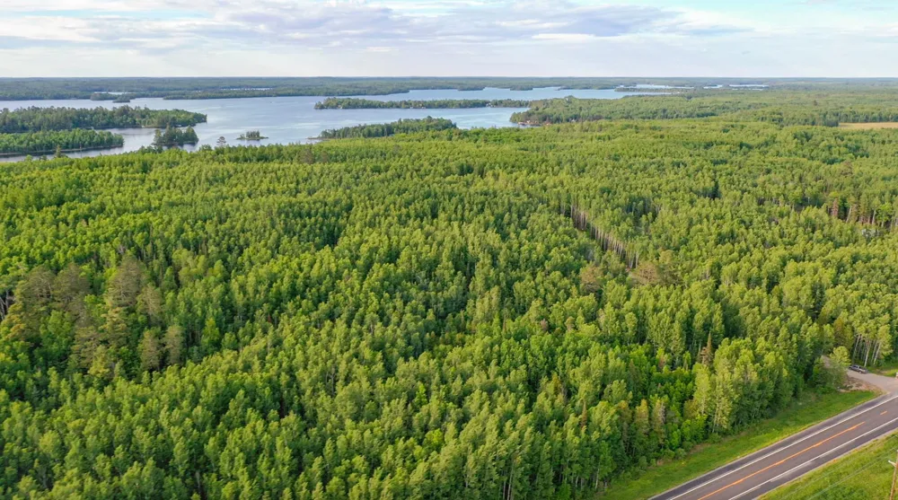 TBD Parcel X Frazer Bay Road Cook, MN 55723